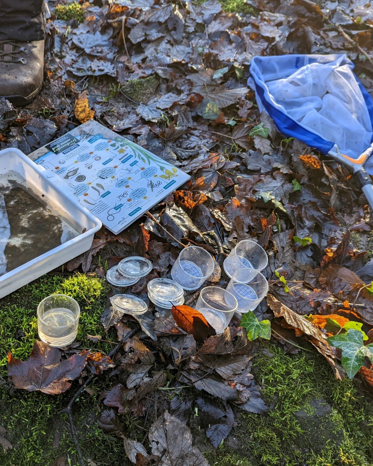 Kick Sampling the River Tawd Friends of Tawd Valley